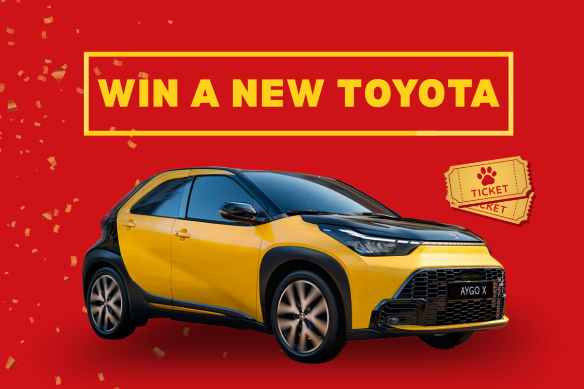 Toyota Raffle Automatic Win a Toyota: Car Raffle β Autism Assistance Dogs Ireland